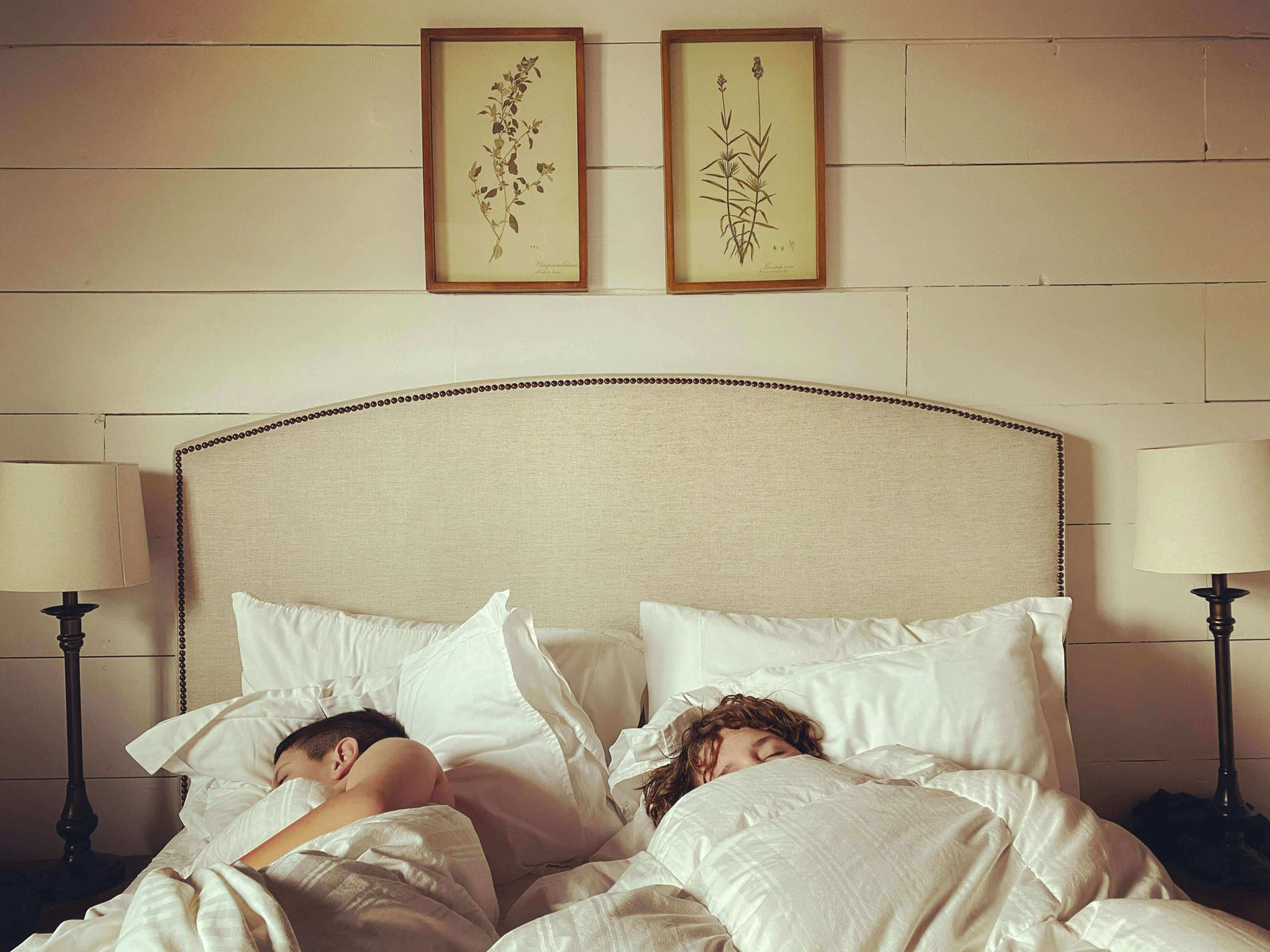 Couple sleeping comfortably on a luxe mattress in a cozy bedroom setting with elegant decor.