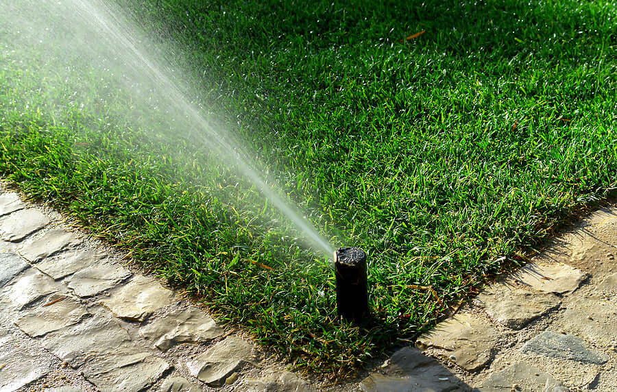 Affordable quality sprinkler watering a lush green garden lawn.