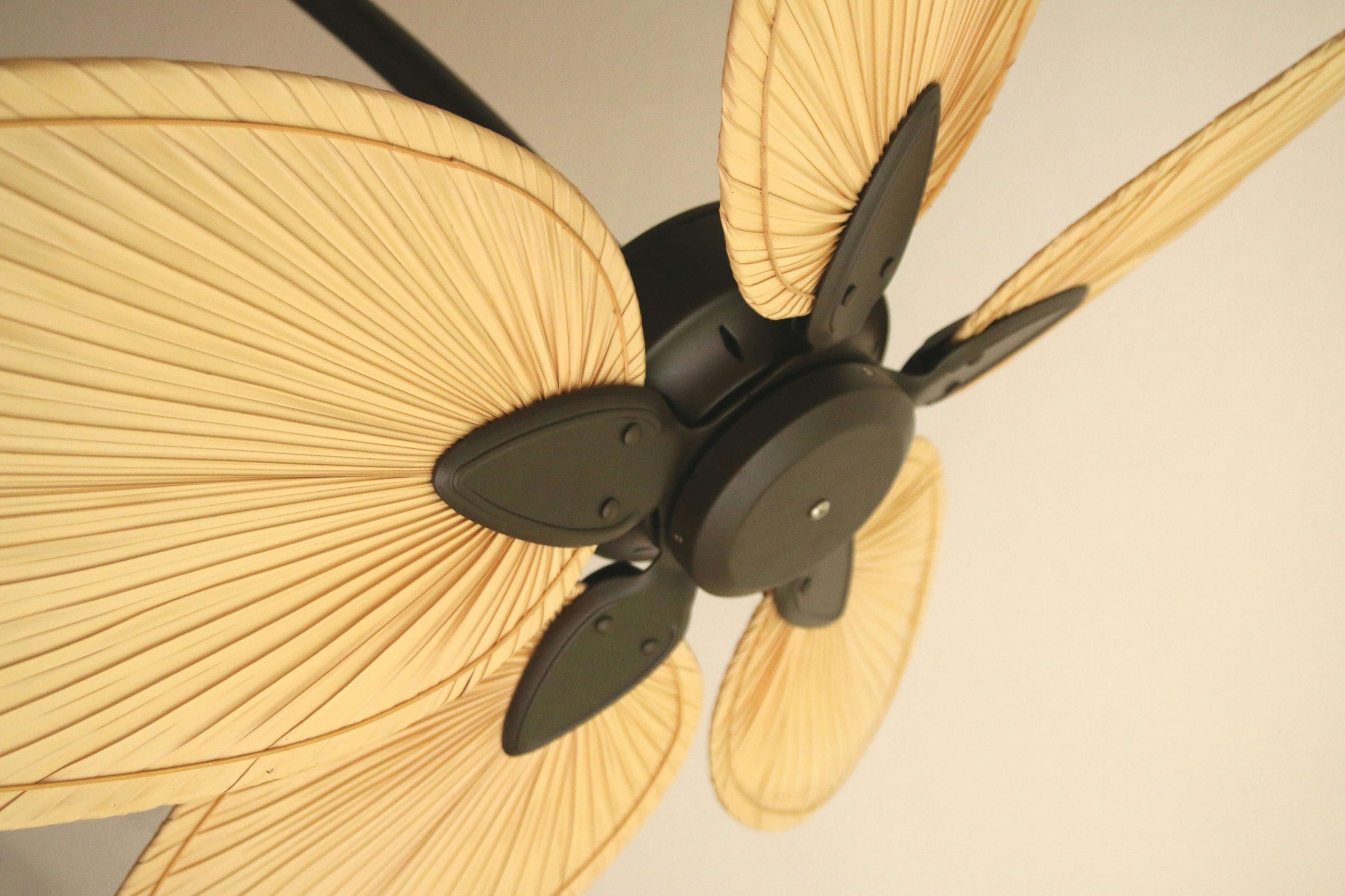 Stylish ceiling fan with leaf-shaped blades, ideal for affordable elegance and improved airflow on a budget.