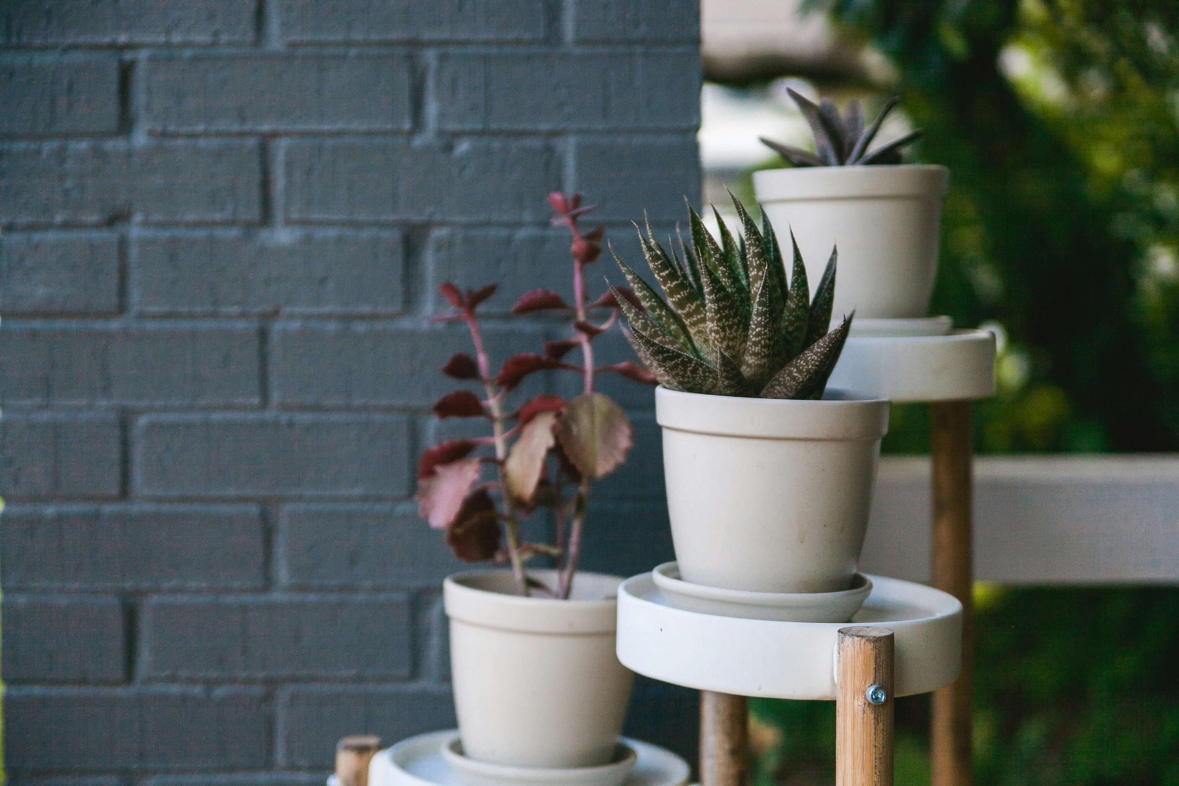 Affordable plant stands with artificial plants on a stylish multi-tier pot stand against a gray brick wall, ideal for budget home decor.