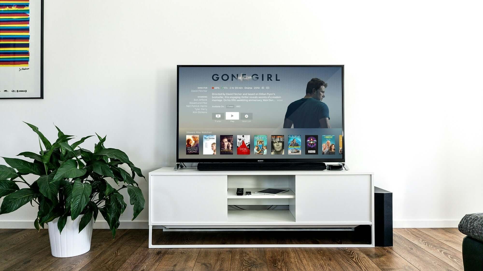 Modern entertainment TV unit with flat-screen display, showcasing digital media content, emphasizing affordable quality design.