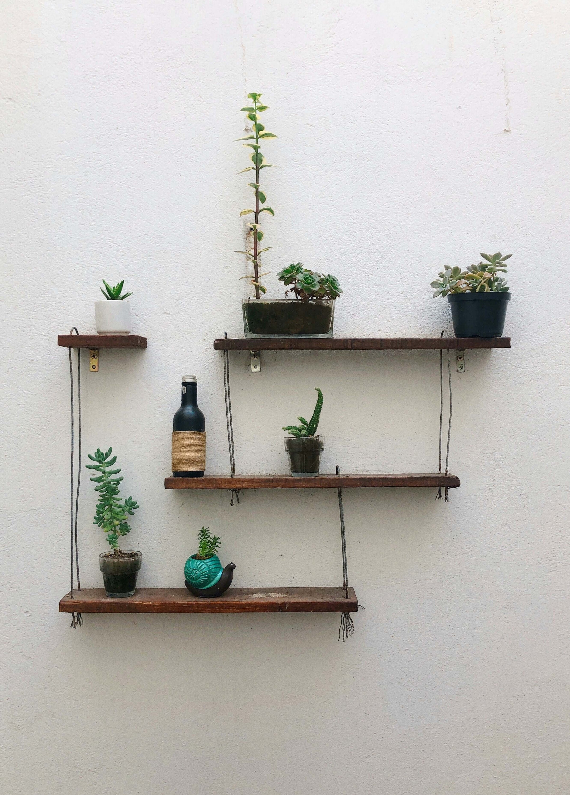 Stylish floating wall shelves with plants, showcasing affordable décor ideas for enhancing home storage on a budget.