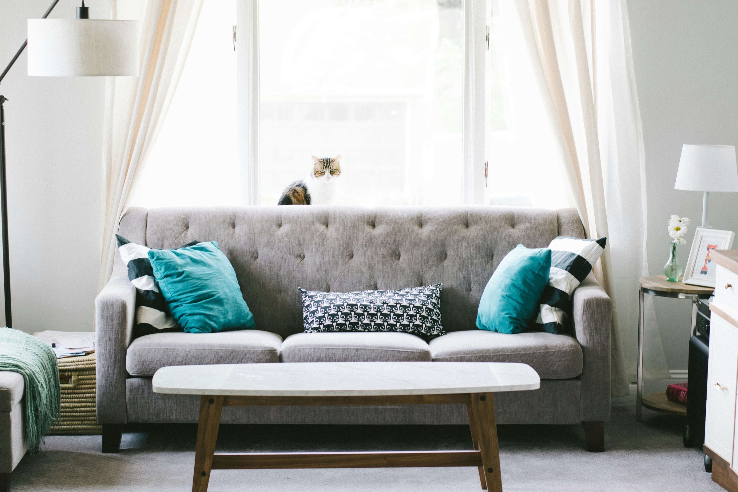 Stylish gray sofa with teal cushions in a modern living room, perfect for affordable upgrading on a budget.