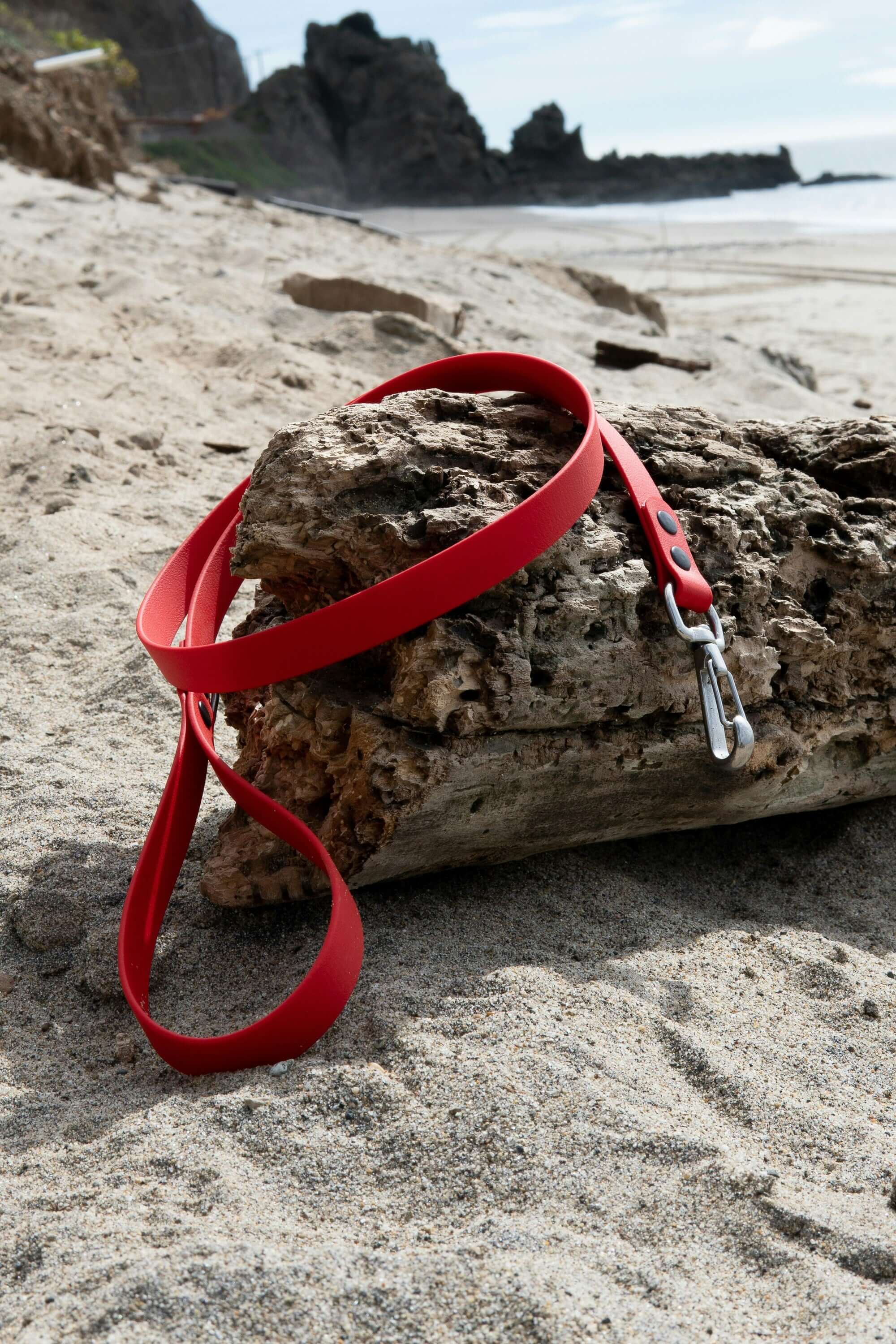 Red dog leash on a sandy beach with driftwood, perfect for affordable and quality pet accessories.