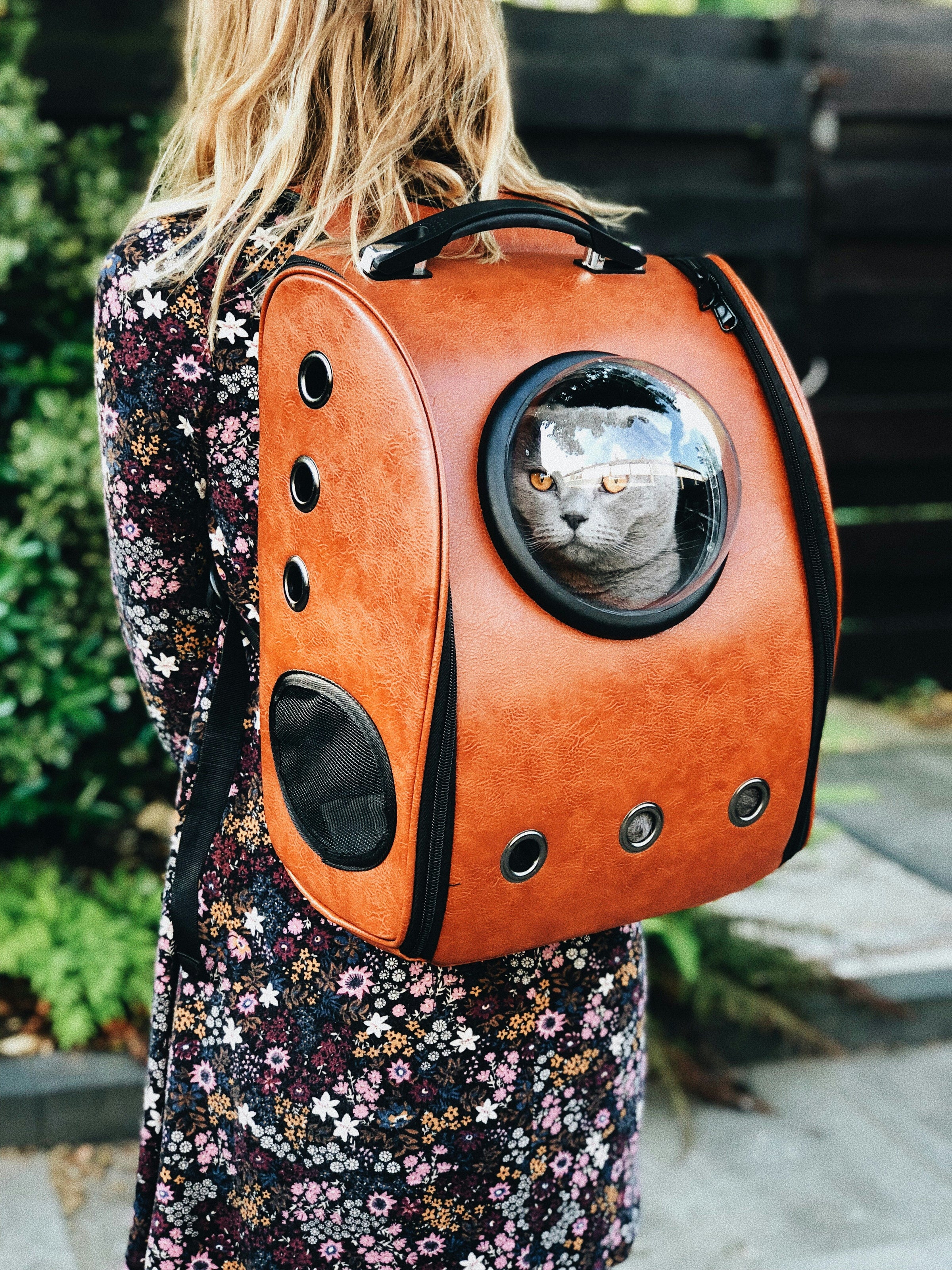 Pet cat in a stylish brown backpack carrier with viewing window, ideal for budget-friendly travel and quality pet transport options.