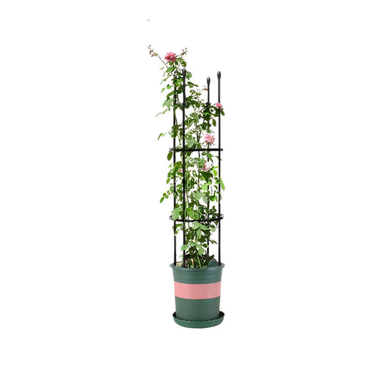 Potted climbing plant in decorative pot with trellis, ideal for affordable homewares, quality and value furniture enhancements