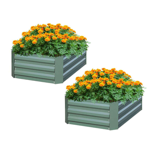 Affordable homewares - Quality value furniture - Two green raised garden beds filled with vibrant orange marigolds.