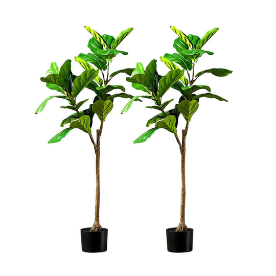 Two artificial fiddle leaf fig trees in black pots, perfect for affordable and quality homewares, adding style and value to your furniture.