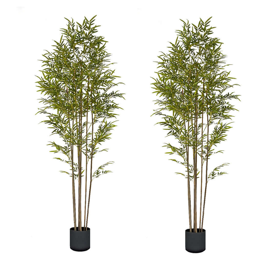 Affordable quality artificial bamboo plants for home décor and value furniture enhancement.