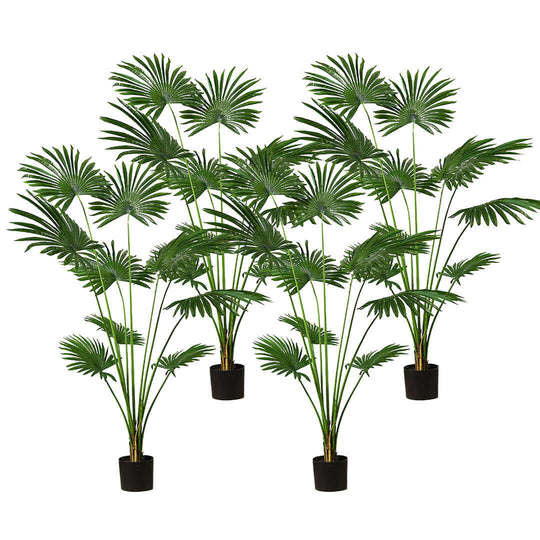 Realistic potted palm plants for affordable quality homewares and value furniture decor.