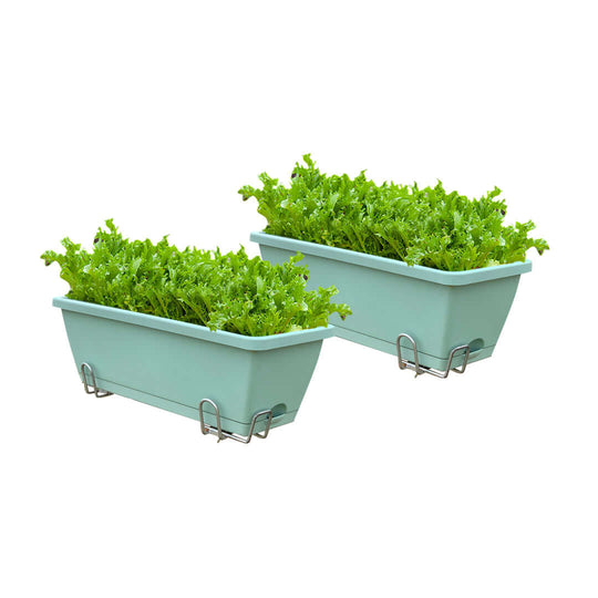 Affordable homeware planter boxes with green leafy plants, offering quality and value gardening accessories.