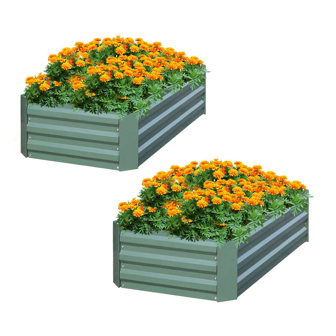 Affordable green raised garden beds filled with vibrant orange flowers, showcasing quality homewares and value furniture for garden enthusiasts.