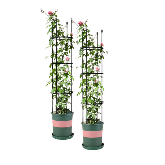 Affordable quality homewares - two climbing plants supported by trellises in green and pink pots. Great value furniture for your garden.