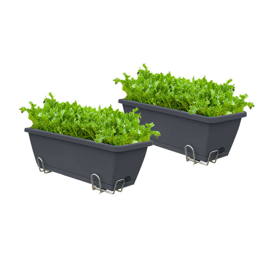 Affordable quality homeware planters with lush green plants in rectangular dark grey containers, showcasing great value furniture.