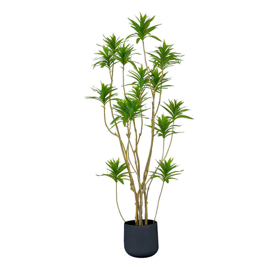 Affordable quality homewares indoor artificial plant in black pot for value furniture décor.