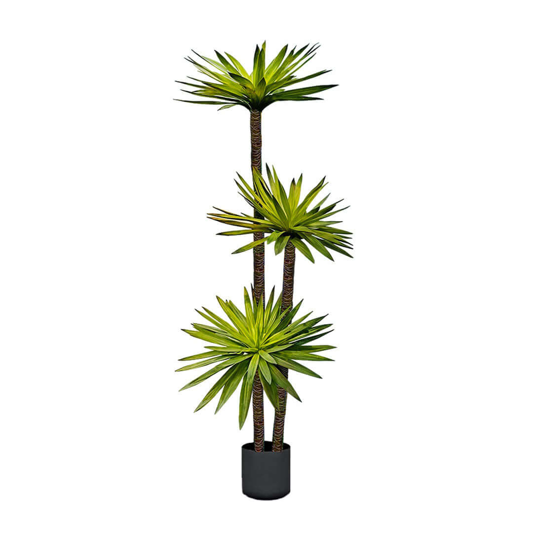 Potted green artificial plant with tall stems and spiky leaves, ideal for affordable homewares and quality value furniture decor.