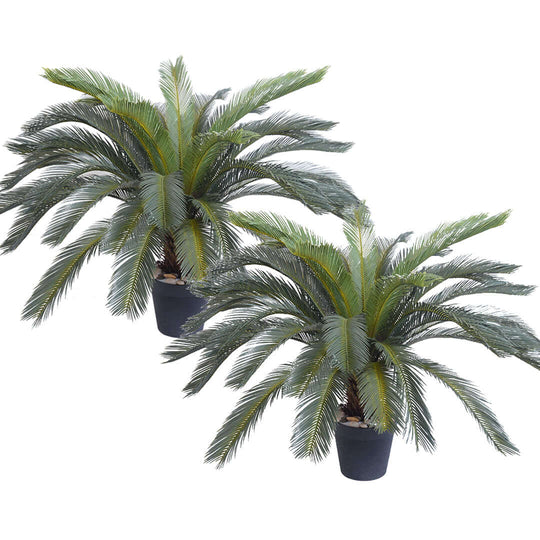 Two affordable, quality artificial palm plants in black pots, ideal for home decoration and value furniture enhancements.