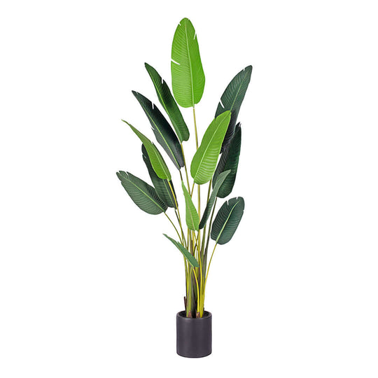 Artificial plant in a black pot, affordable quality homewares and value furniture accessory.