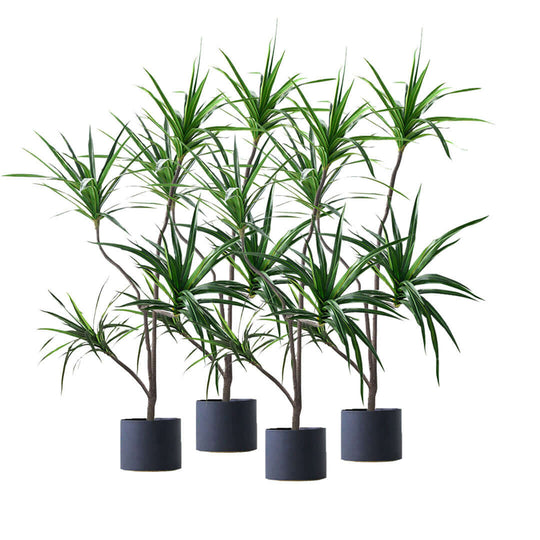 Affordable quality homewares - set of vibrant green potted plants for value furniture decor.