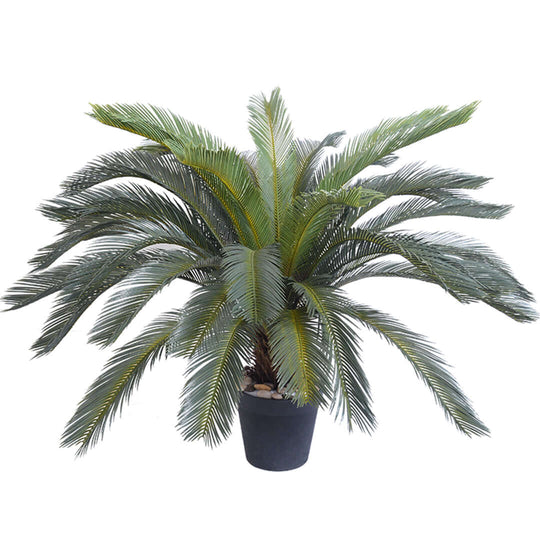 Affordable quality potted palm plant for home decor - value furniture accessory