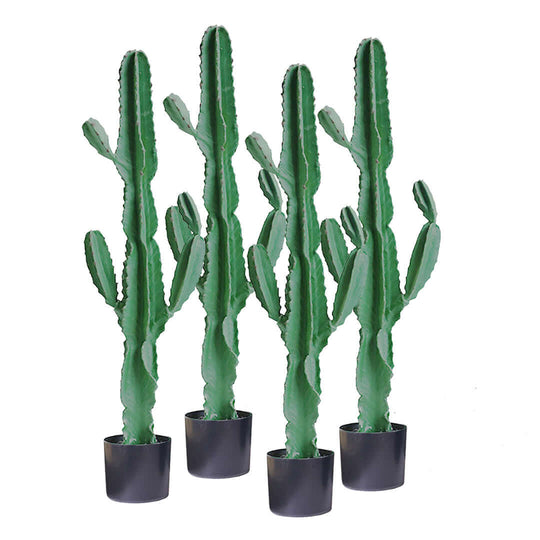 Four artificial cactus plants in black pots, perfect for affordable and quality homewares and value furniture decor