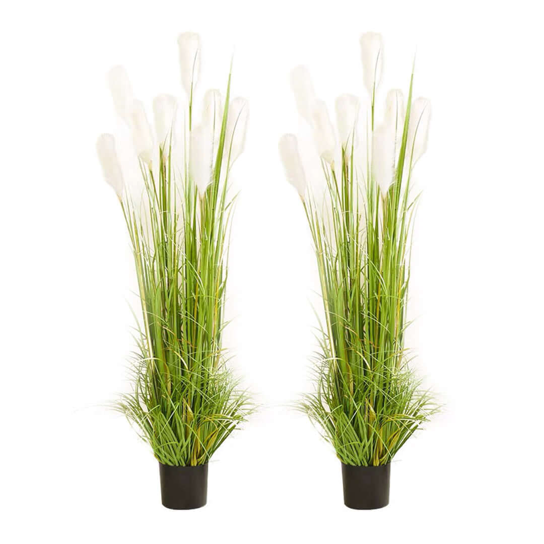 Affordable quality homewares - pair of faux grass potted plants to enhance your value furniture with natural decor.