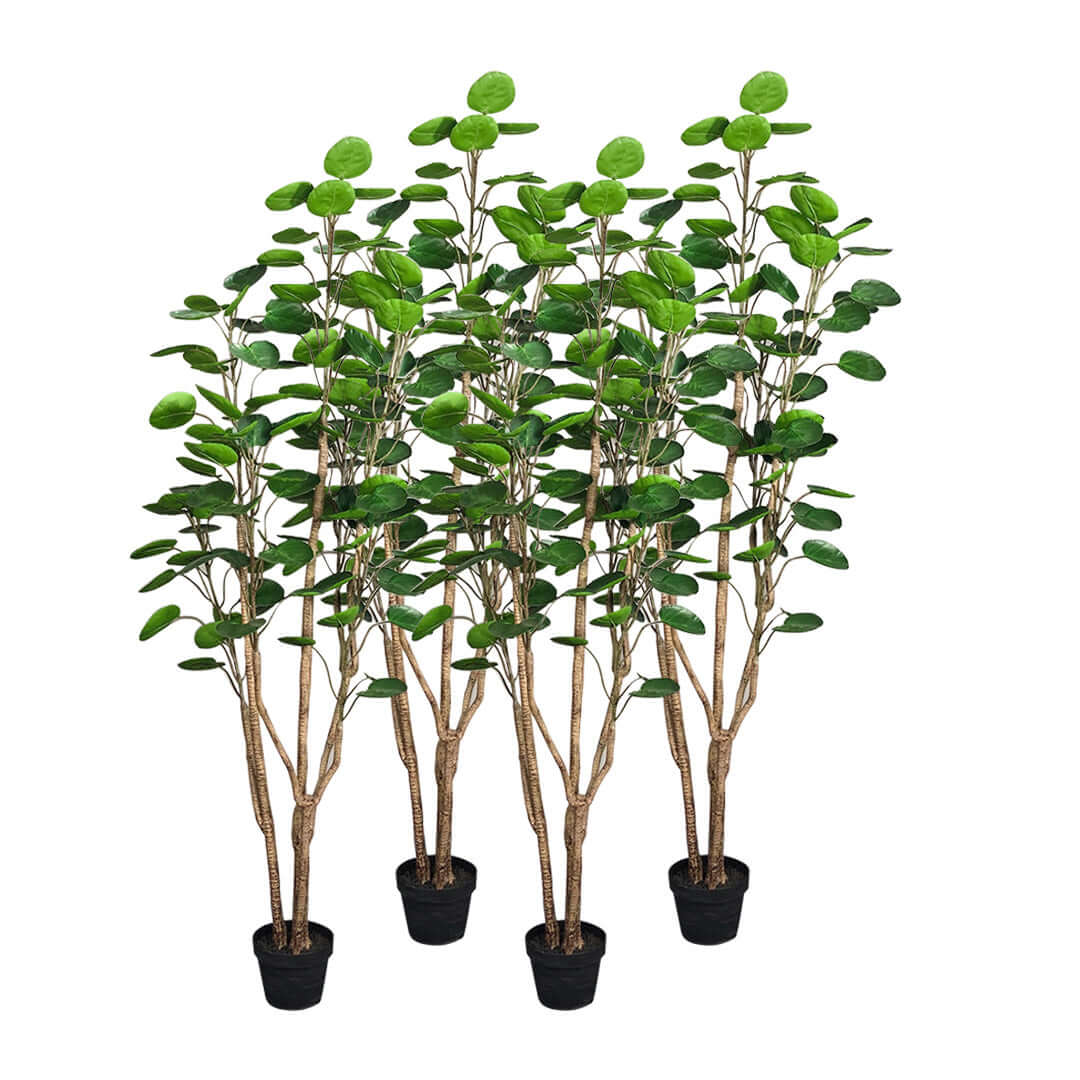 Affordable quality homewares - artificial potted plants with lush green leaves for value furniture decoration