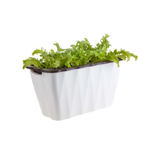 Affordable white homeware planter with lush green leafy plant, highlighting quality and value furniture.