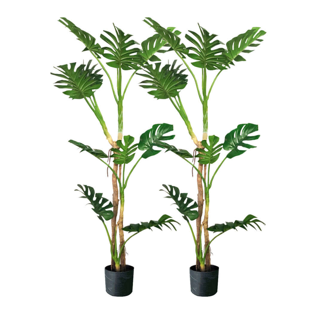 Two potted tall artificial tropical plants with green leaves, offering affordable, quality homewares and value furniture accessories.