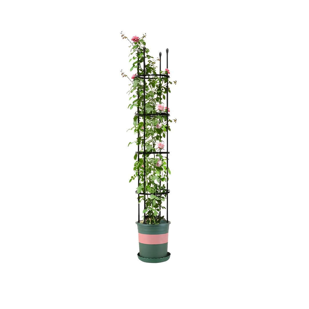 Affordable quality homewares - tall plant in a decorative pot with a sturdy trellis for indoor or outdoor value furniture decor.