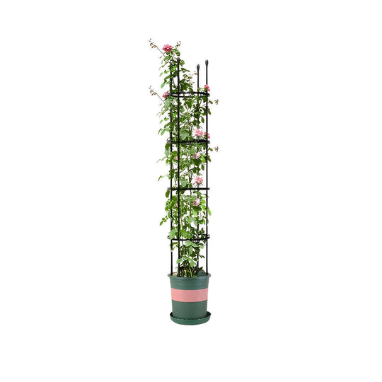 Affordable quality homewares - tall plant in a decorative pot with a sturdy trellis for indoor or outdoor value furniture decor.