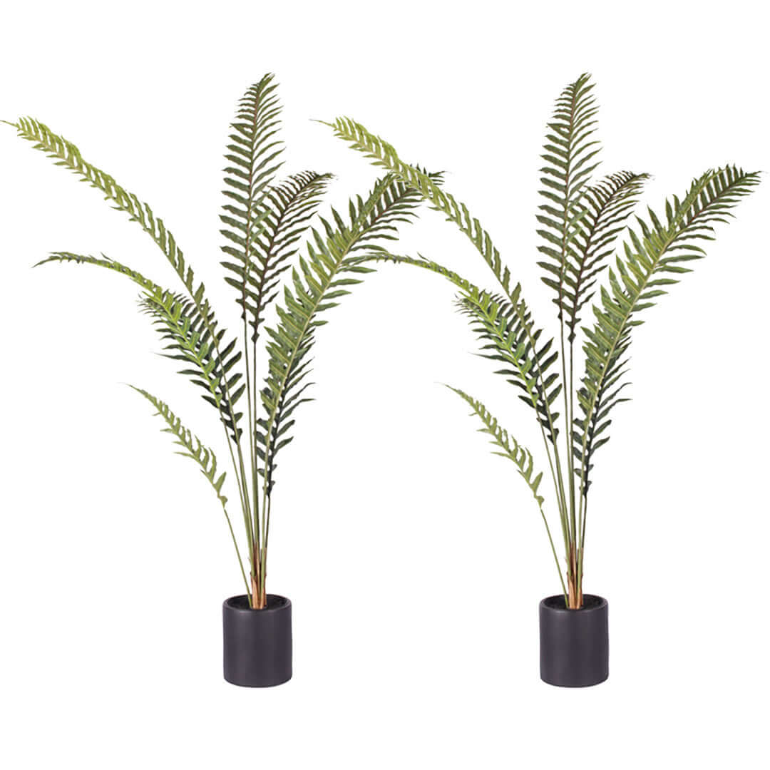 Two potted artificial plants with tall green fern leaves in black pots, perfect for affordable and quality homewares and value furniture displays.