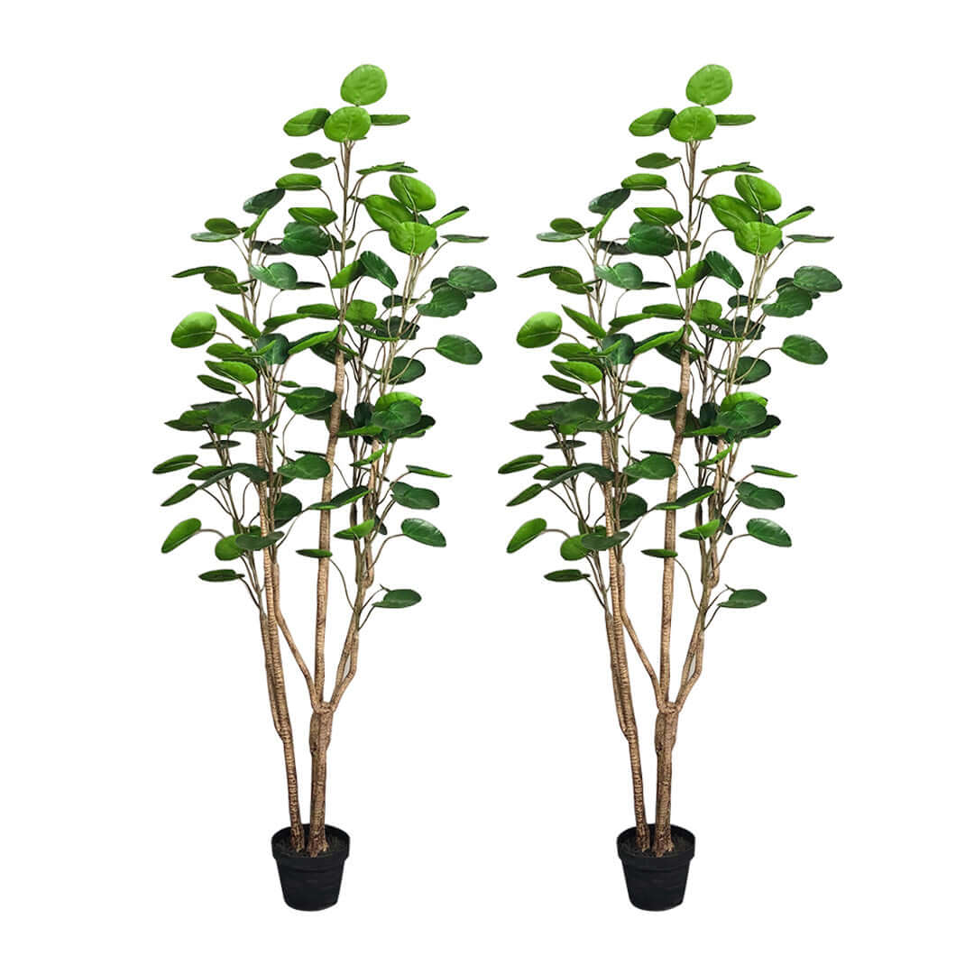 Affordable quality homewares two artificial greenery plants in black pots, perfect for adding value furniture decor.