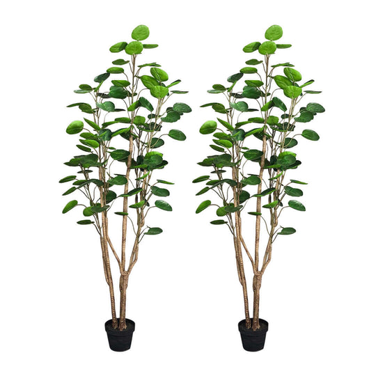 Affordable quality homewares two artificial greenery plants in black pots, perfect for adding value furniture decor.