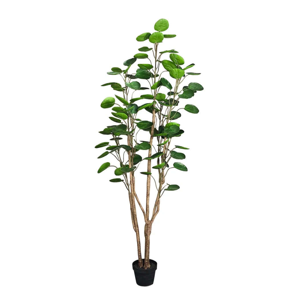 Artificial potted plant with lush green leaves, perfect for adding affordable and quality homewares to your space, bringing nature indoors.