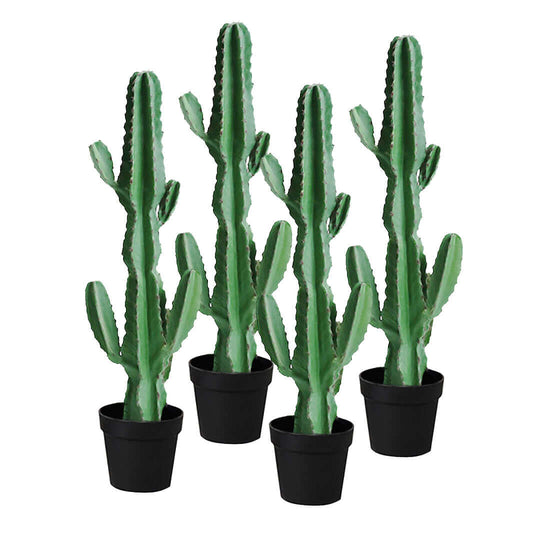 Affordable quality homewares - four potted green cactus plants for stylish and value furniture decor.