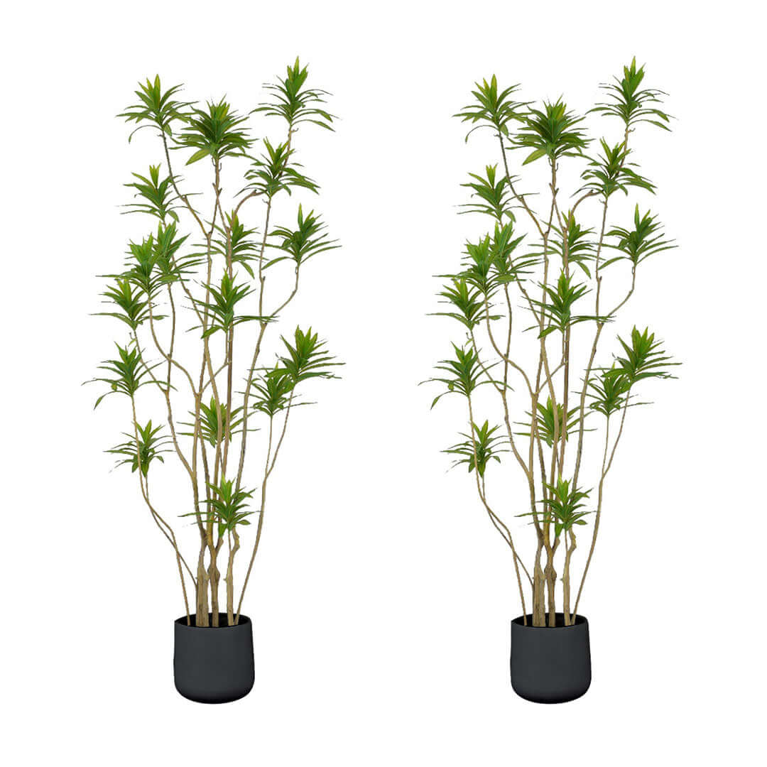 Affordable quality homewares - two tall green potted artificial bamboo plants for value furniture and decor.