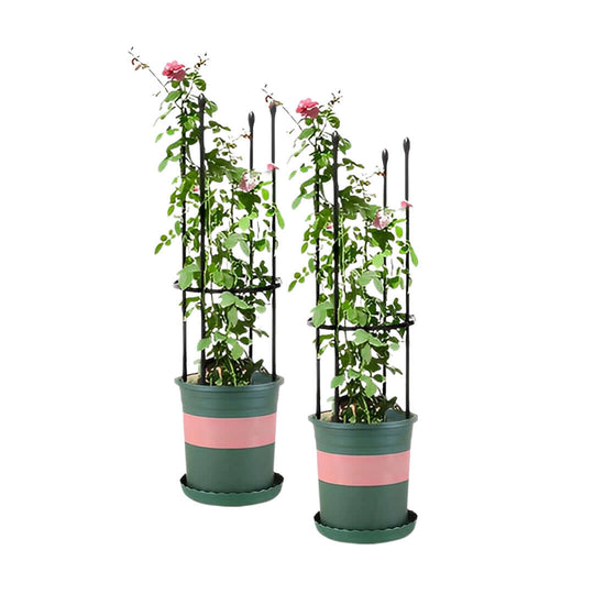 Green and pink potted plants with trellis, perfect for adding affordable and quality homewares to your garden decor.