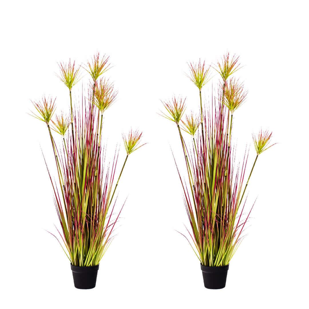 Artificial floral decor of tall, vibrant grass plants in black pots, ideal for affordable homewares and quality value furniture settings.