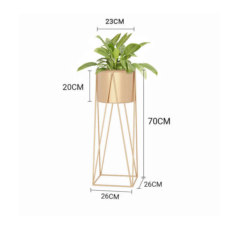 Gold geometric plant stand with green plant, dimensions marked. Affordable quality homewares and value furniture.