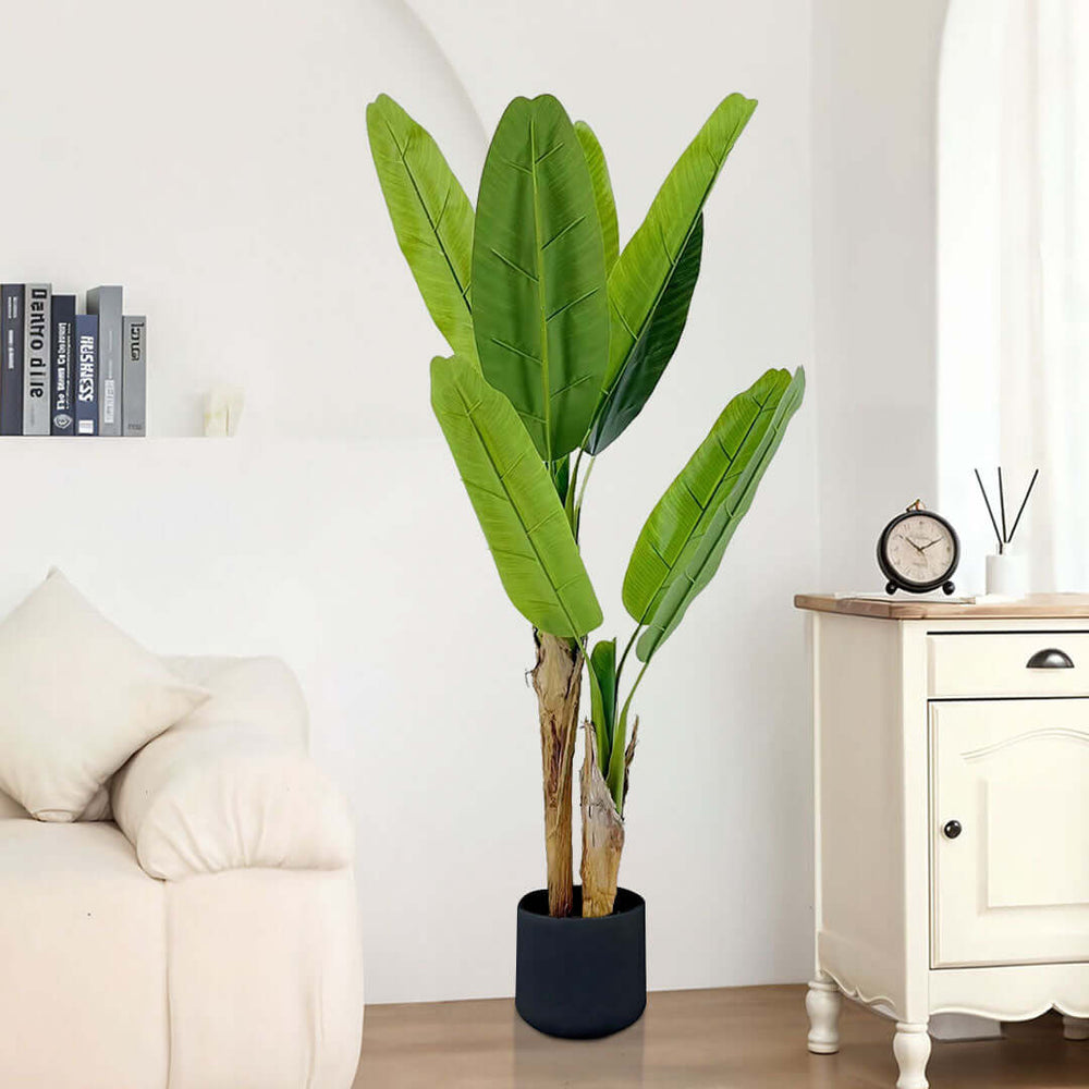 Affordable quality homewares - Decorative tall green plant in a black pot next to a white couch and a wooden side table. Value furniture decor.