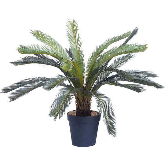 Affordable quality homewares, potted palm plant for value furniture decor