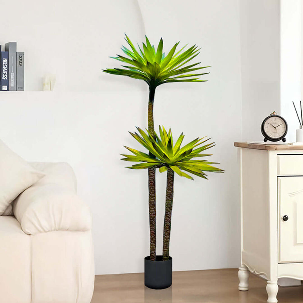 Stylish indoor plant in a black pot next to a white couch and wooden cabinet, enhancing home decor with affordable homewares and quality value furniture.