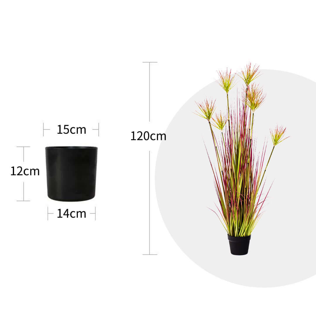 Affordable quality homeware with dimensions - potted plant 120cm tall with a pot measuring 12cm height and 15cm width at top. Value furniture decoration.