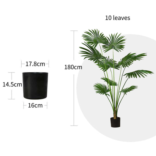 "Affordable quality fake palm plant with black pot, measuring 180cm tall and 17.8cm in diameter, perfect value furniture for home decor"