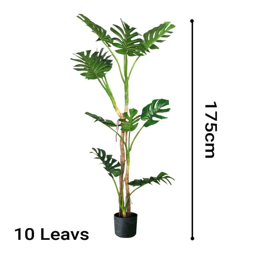 Artificial indoor plant with 10 leaves, 175cm tall in black pot - affordable homewares, quality value furniture