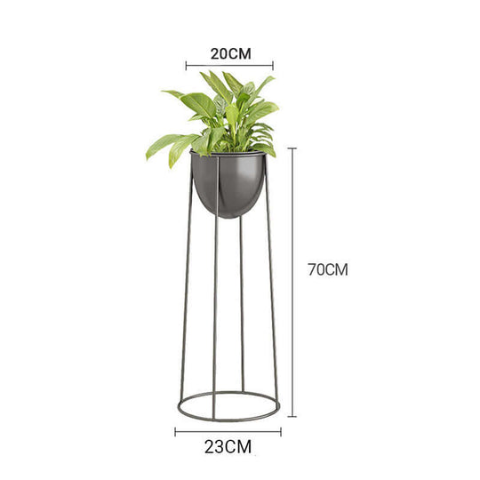 Affordable quality homewares - Value furniture: green plant in sleek black plant stand with measurements 20cm top, 23cm bottom, and 70cm height.