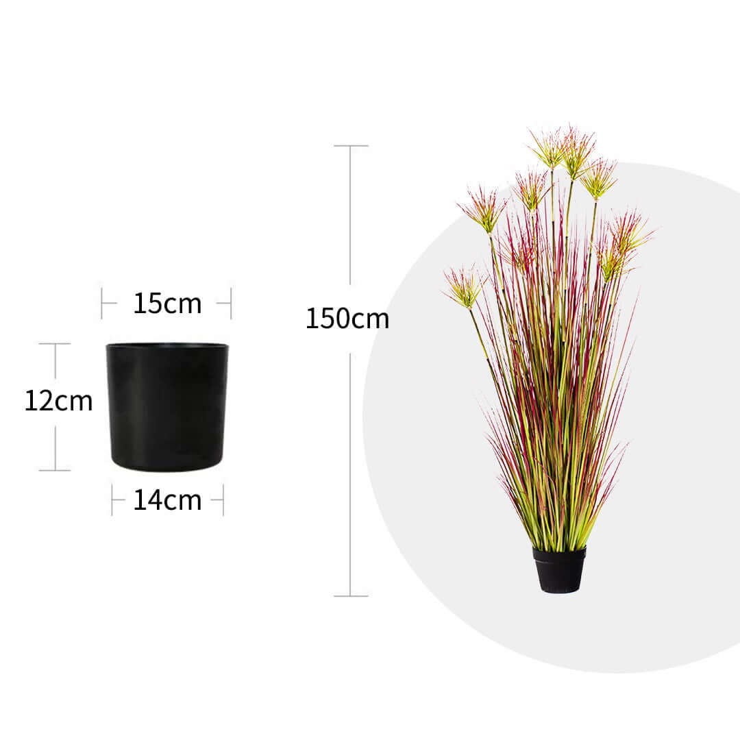 Affordable quality value furniture homeware - 150cm potted plant with measurements