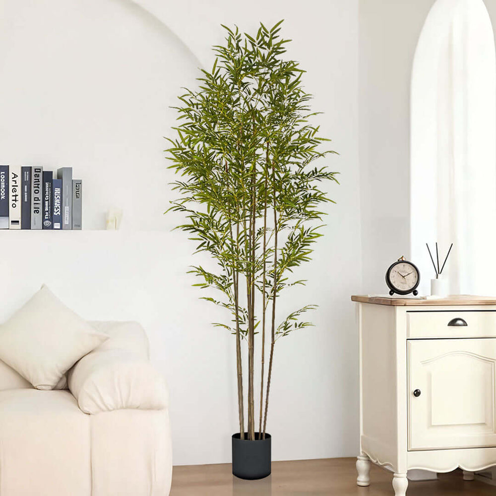 Stylish bamboo plant decor in modern living room with affordable, quality homewares and value furniture.