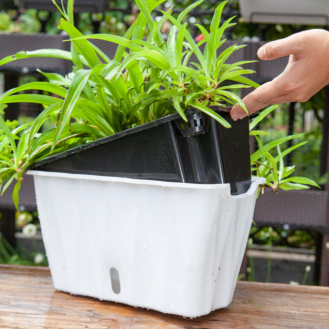 Hand watering green houseplant in modern white and black planter, showcasing affordable homewares for quality value furniture.